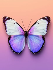 Fototapeta premium Captivating Butterfly on Gradient Background with Symmetrical Wings and Delicate Antennae Morphology