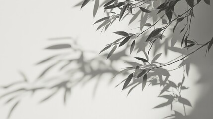 Light and Shadow of Branches and Leaves on a Wall