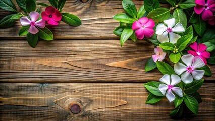 Fototapeta premium Overhead Double Exposure Vinca Blooms with Dutch Angle Tilt on Wooden Texture, High-Contrast Floral Design for Copy Space
