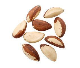 Obraz premium Isolated Pili Nuts Dry Fruits on a white transparent background, high-resolution cutout, detailed texture, natural color, premium quality nut image for packaging, advertising, or product showcase