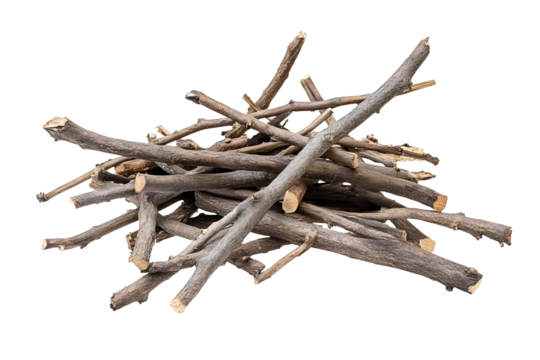Dry wood pile isolated on white background with clipping path. Dry twigs pile ready for campfire, sticks, boughs heap for a fire, dry thin branches, brushwood.