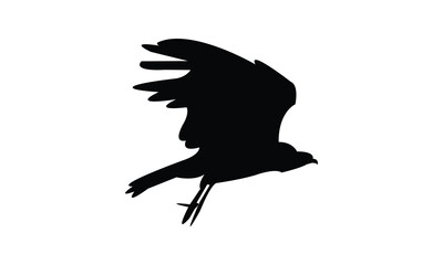 Flying African harrier hawk bird Silhouette Design  And Vector Illustration. 