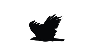 Flying African harrier hawk bird Silhouette Design  And Vector Illustration. 