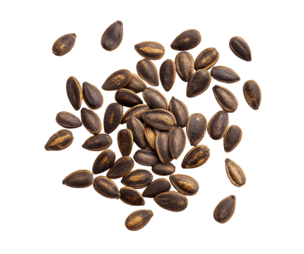 Fresh watermelon seeds, cleanly isolated on a transparent background. High-resolution cutout with a natural look, ideal for product mockups, advertisements packaging, and digital artwork