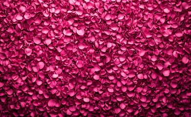 Pink Petal Wall Background