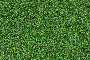 Fototapeta premium A detailed close up of a vibrant green lawn surface