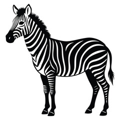 Zebra silhouette vector illustration isolated on white background