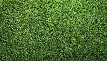 Obraz premium Close up of a vibrant green and healthy grass field