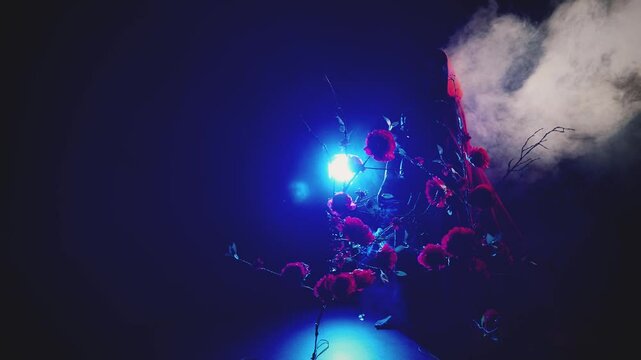 Mystery sillhouette gothic woman walking in fairy tale dark night garden roses flowers bush tree. Fantasy lady vampire girl evil sexy long cape dress red hood on head. blue smoke magic moon light fog 