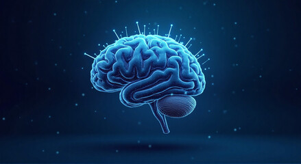 Obraz premium 3d rendered illustration of a brain, brain, human, medical, head, anatomy, x-ray, 3d, intelligence, medicine, health, scan, blue, mind, science, illustration, body, abstract, neurology, xray, biology,