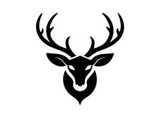 A solid black image with no discernible content.