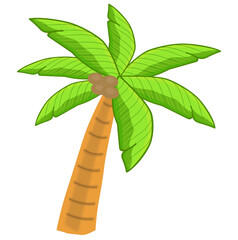green palm tree