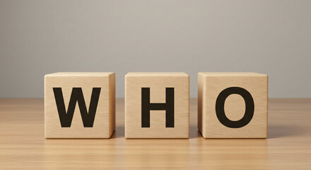 ＷＨＯ、木製、ブロック、モデル