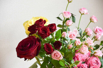 カラフルな薔薇