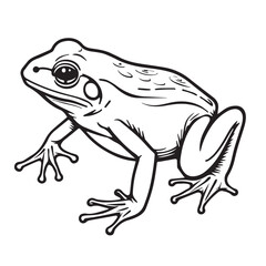 Simple Black and White Line Drawing of a Frog with Big Eyes and Long Toes, Perfect for Kids' Coloring Pages

