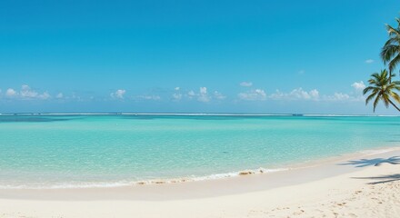 Fototapeta premium Tropical beach with palm trees and turquoise ocean water on sunny day