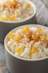 Old-Fashioned Rice Pudding is so creamy with the perfect texture and sweetness closeup on the bowl on the table. Vertical