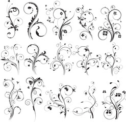 Calligraphic swirl flourish ornament. Modern swirling flourishes, wreath, romantic card decorative swirl and wedding card decor curls swirles dividers set. filigree ornaments baroque. floral ornament.