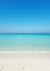 Tropical beach with palm trees and turquoise ocean water on sunny day