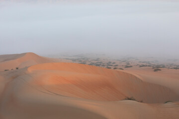 Sand dunes of Liwa desert in fog during sunrise hours.
