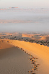 Sand dunes of Liwa desert in fog during sunrise hours.