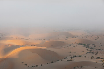 Sand dunes of Liwa desert in fog during sunrise hours.