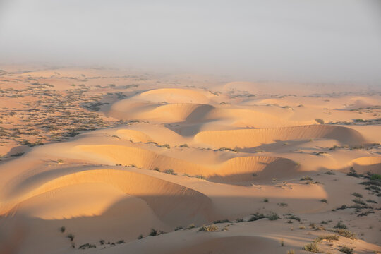Sand dunes of Liwa desert in fog during sunrise hours.