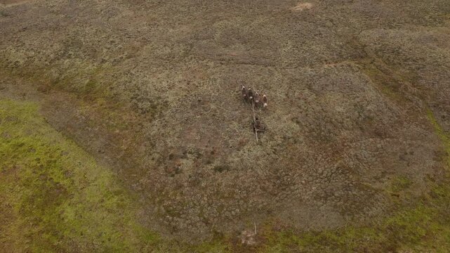 A view from above of a reindeer sleigh with residents of northern peoples riding through the Tundra in autumn