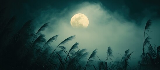 Full moon night, misty meadow, tall grass blowing in wind.