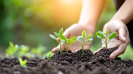 Hands, Business and Women with Plants, Soil and Growth of Companies with Investment, Finance or Soil Day, Close-up, Person or Sustainable Consultant for Startup, Natural Resources or Responsibility.