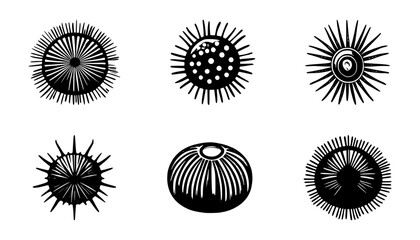 Fototapeta premium sea ​​urchin silhouette set, isolated background
