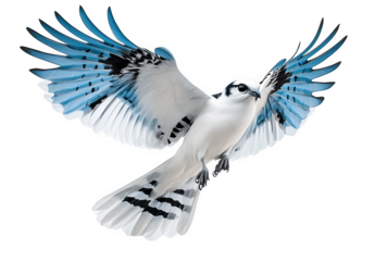 A striking white and blue bird with outstretched wings in mid-flight, showcasing intricate feather details and sharp markings  – AI Generated Digital Art.