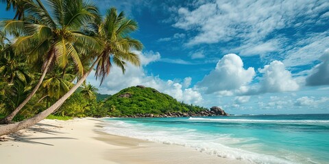 Tropical beach with palm trees and white sand, seen with blue sky island in the Seychelles. 32k Photo