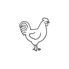chicken icon Chicken Line Drawing: Minimalist Black-and-White Illustration of a Standing Hen with Detailed Tail Feathers
