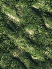 The textured surface of a moss covered rocky environment