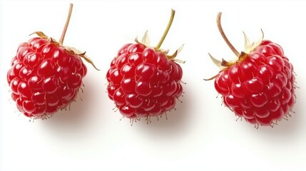 Raspberry isolated on white background