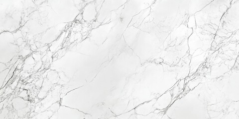Obraz premium Marble Veins: An expansive view of a luxurious marble surface with intricate, natural veining patterns. The image captures the timeless elegance and sophisticated texture of this classic material.