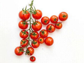 A bunch of fresh red vine tomatoes covered in water droplets, isolated on a white background
