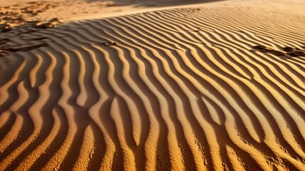 Abstract sand pattern in Sand Dune Desert