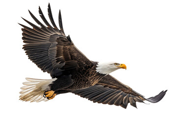 Fototapeta premium Majestic Bald Eagle in Flight - Isolated on White Background as Transparent PNG, AI Generated