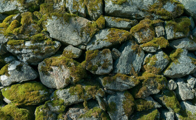 Old wall from a dry stone covered by a moss, texture background