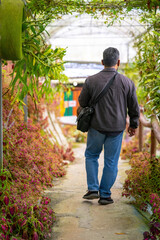 A man walking at the flower garden in Cameron Highlands. Viewed from behind.