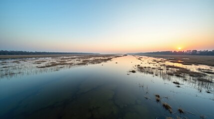 Fototapeta premium Floodplains bathed in gentle morning light, stretching under a clear spring sky. Calm waters reflect the peaceful atmosphere, surrounded by green meadows and scattered trees.