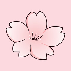 Spring Sakura Flower Illustration