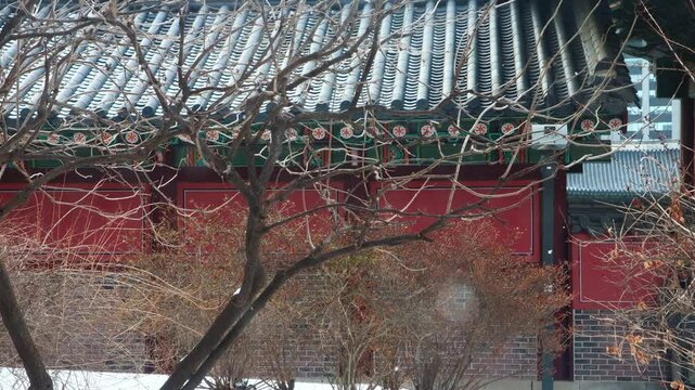 This is a winter scene of Changdeokgung Palace with snow falling.눈내리는 창덕궁의 겨울풍경입니다.