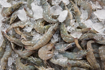 THAILAND CHONBURI SAMAESAN VILLAGE