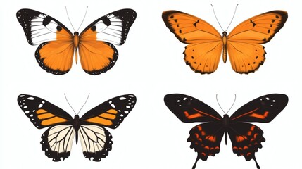 Set Collection Monarch butterflies showcasing vibrant orange and black coloration on a white background