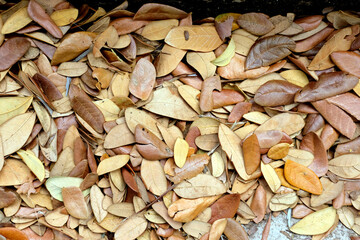 background of firewood