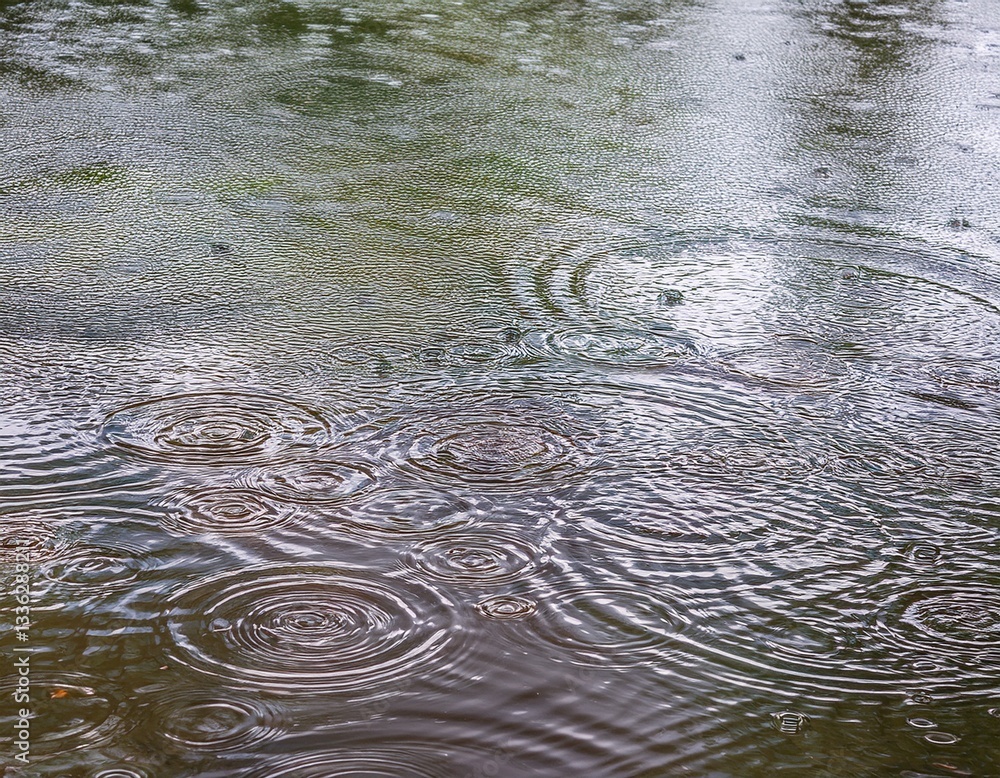Poster patterns of intersecting ripples created by falling rain on water.