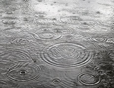Patterns of intersecting ripples created by falling rain on water.